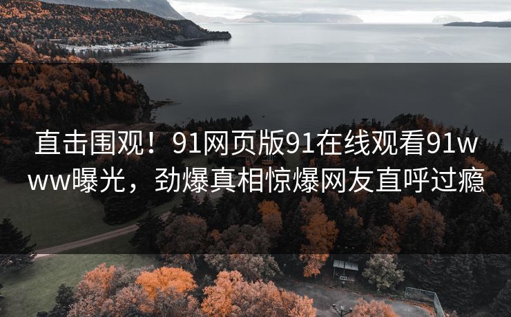 直击围观！91网页版91在线观看91www曝光，劲爆真相惊爆网友直呼过瘾