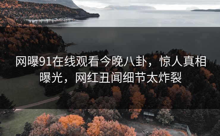 网曝91在线观看今晚八卦，惊人真相曝光，网红丑闻细节太炸裂