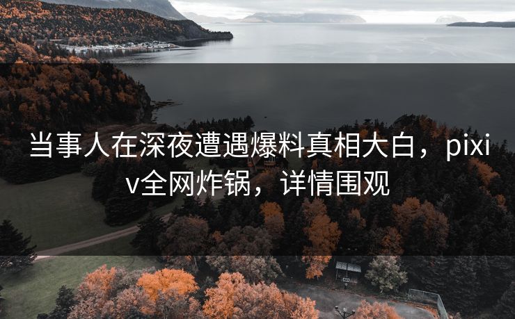 当事人在深夜遭遇爆料真相大白，pixiv全网炸锅，详情围观
