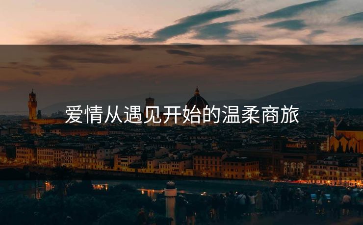 爱情从遇见开始的温柔商旅