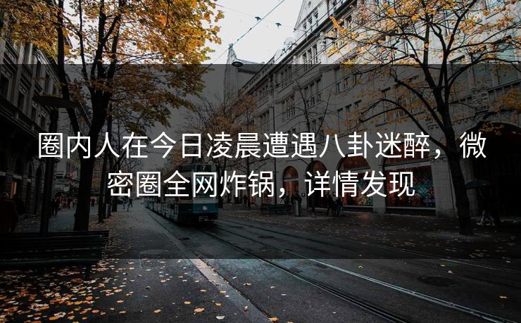 圈内人在今日凌晨遭遇八卦迷醉，微密圈全网炸锅，详情发现