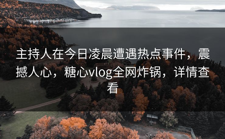主持人在今日凌晨遭遇热点事件，震撼人心，糖心vlog全网炸锅，详情查看