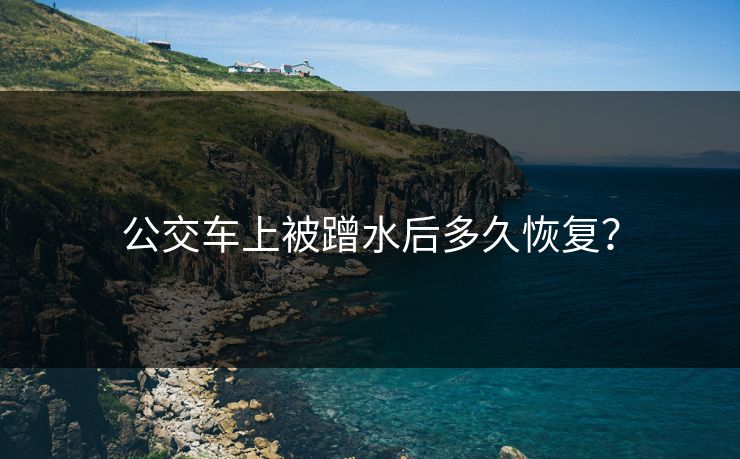 公交车上被蹭水后多久恢复？