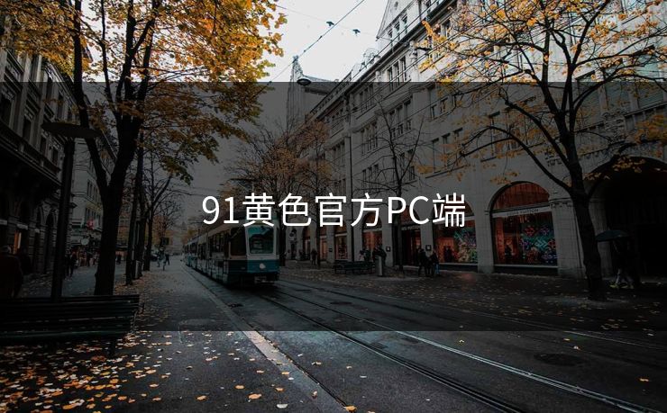 91黄色官方PC端