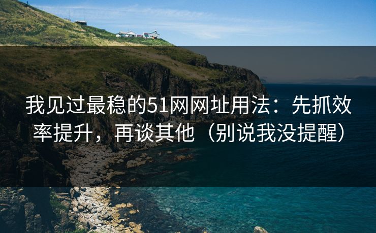 我见过最稳的51网网址用法：先抓效率提升，再谈其他（别说我没提醒）